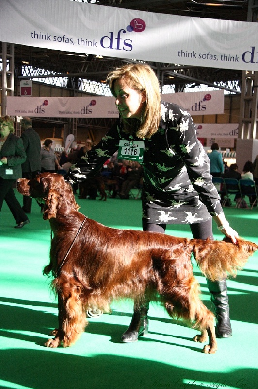 Crufts2011 094.jpg